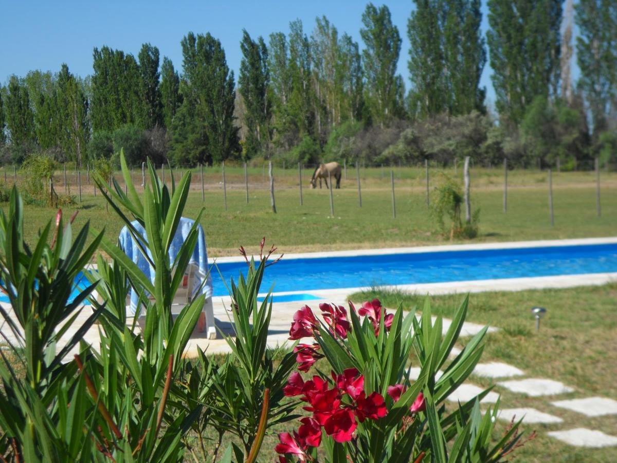 Casa De Campo Las Olivas San Rafael  Extérieur photo