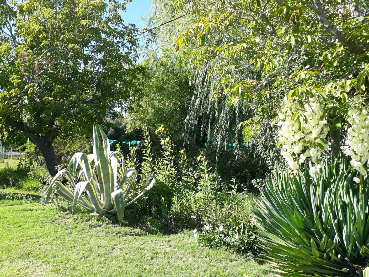 Casa De Campo Las Olivas San Rafael  Extérieur photo